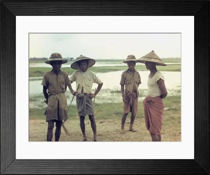 Framed Print : Rice - paddy workers - Rangoon Framed Print : Rice - paddy workers - Rangoon