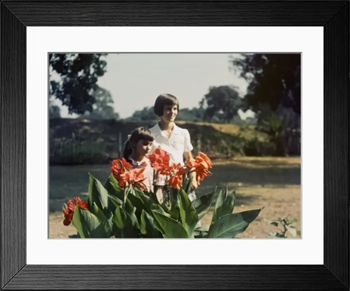 Framed Print : Cannas - Rangoon Framed Print : Cannas - Rangoon