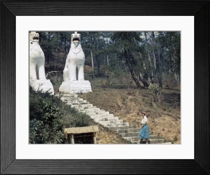 Framed Print : Chinthes - Kalaw Framed Print : Chinthes - Kalaw