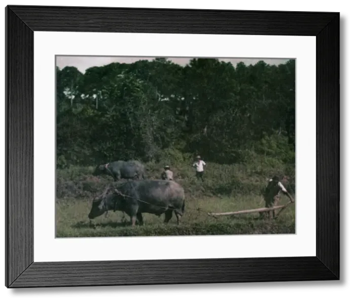 Framed Print : on train to Sin Taung - Kalaw Framed Print : on train to Sin Taung - Kalaw