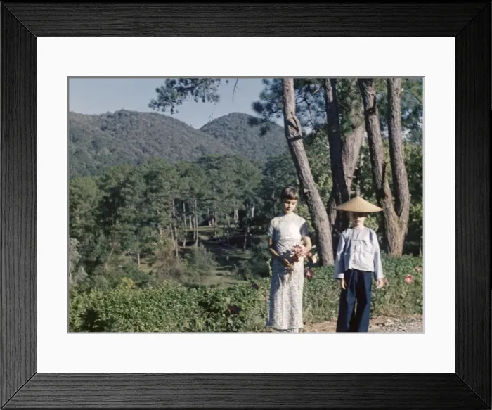 Framed Print : Kalaw garden - Kalaw Framed Print : Kalaw garden - Kalaw