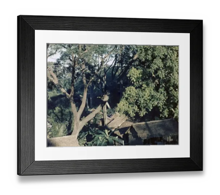 Framed Print : Mount Pleasant village - Rangoon Framed Print : Mount Pleasant village - Rangoon