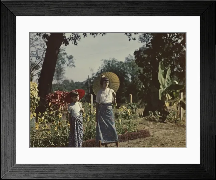 Framed Print : garden of Mount Pleasant - Rangoon Framed Print : garden of Mount Pleasant - Rangoon