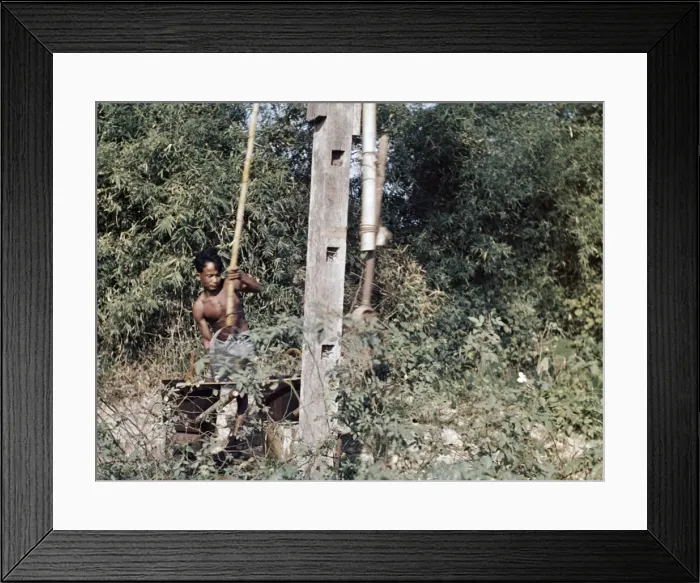 Framed Print : water well sweep - Rangoon Framed Print : water well sweep - Rangoon