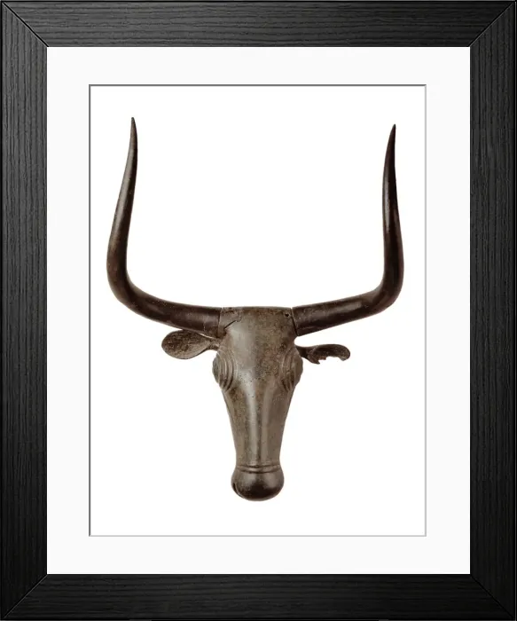 Framed Print : Head of a Bull Framed Print : Head of a Bull