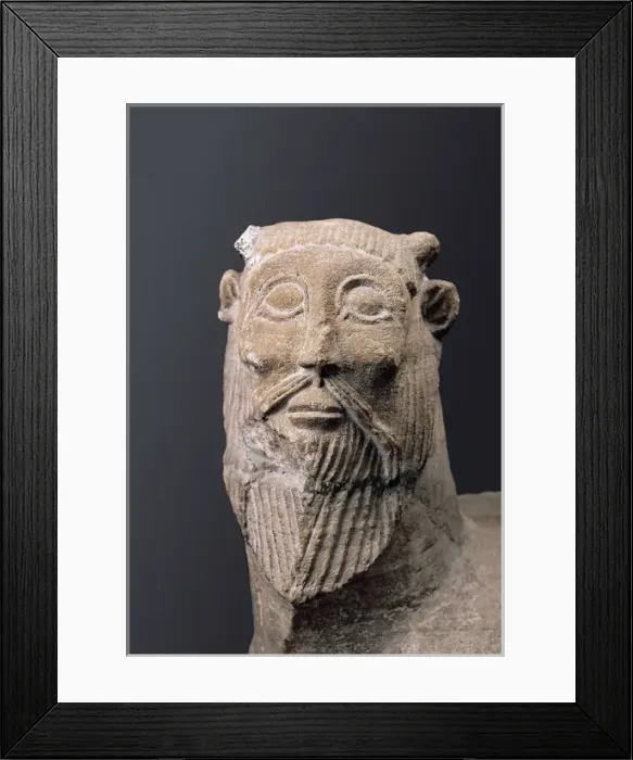 Framed Print : Monster of Balazote. Detail Framed Print : Monster of Balazote. Detail