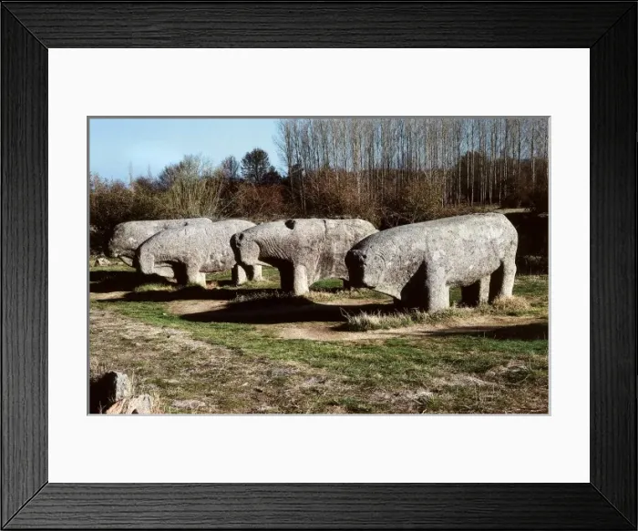 Framed Print : Bulls of Guisando. Spain Framed Print : Bulls of Guisando. Spain