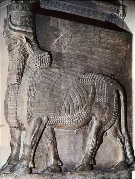 Winged Assyrian Bull