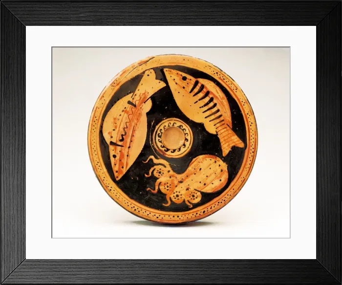 Framed Print : Plate with Octopus Framed Print : Plate with Octopus