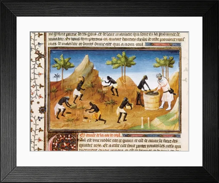 Framed Print : Polo, Marco (1254-1324) Framed Print : Polo, Marco (1254-1324)