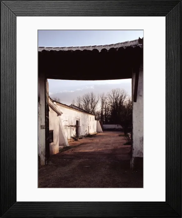 Framed Print : CERVANTES SaVEDRA, Miguel de (1547-1616) Framed Print : CERVANTES SaVEDRA, Miguel de (1547-1616)