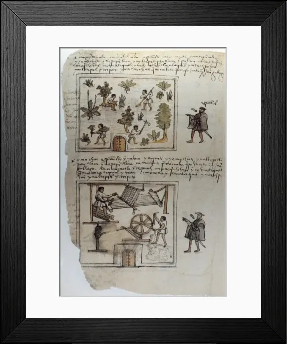 Framed Print : Codex Osuna (Ce Osuna). 16th c. Manuscrit Framed Print : Codex Osuna (Ce Osuna). 16th c. Manuscrit