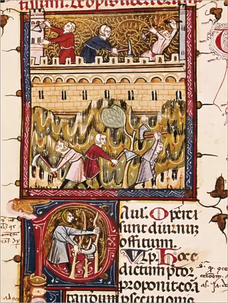 Construction of a wall. Illustration from a Latin
