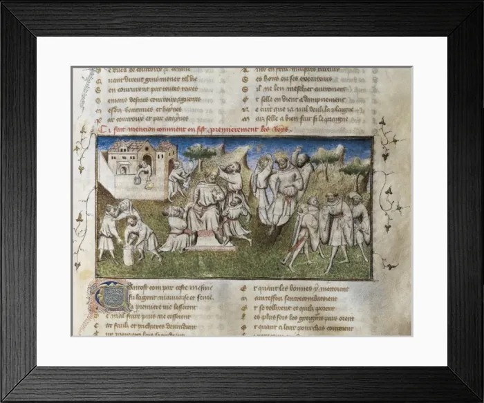 Framed Print : The Romance of the Rose. s. XIV. Its mentioned Framed Print : The Romance of the Rose. s. XIV. Its mentioned