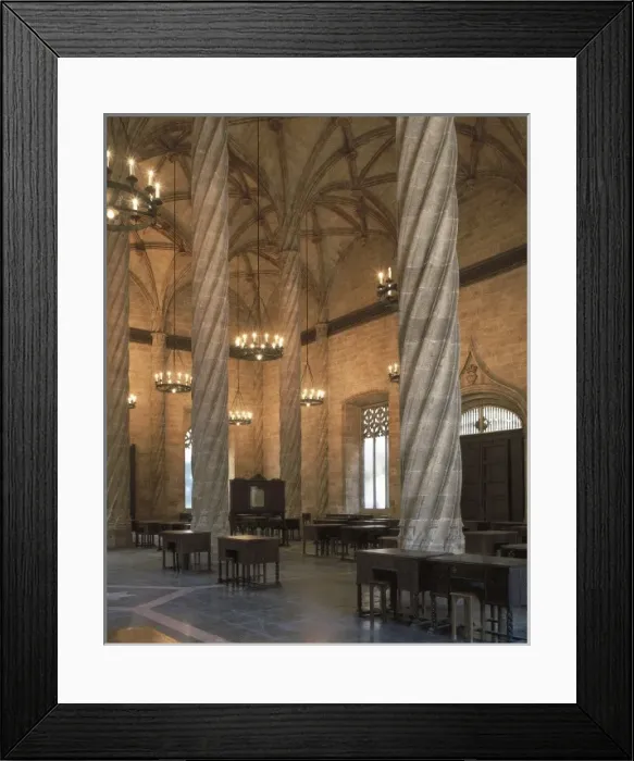 Framed Print : Lonja de la Seda o Lonja de Mercaderes (Silk Framed Print : Lonja de la Seda o Lonja de Mercaderes (Silk
