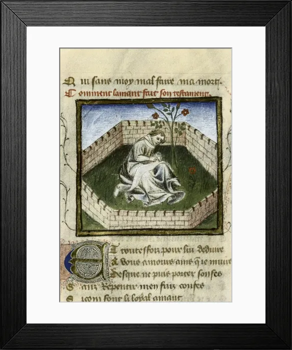 Framed Print : The Romance of the Rose. s. XIV. The young boy Framed Print : The Romance of the Rose. s. XIV. The young boy