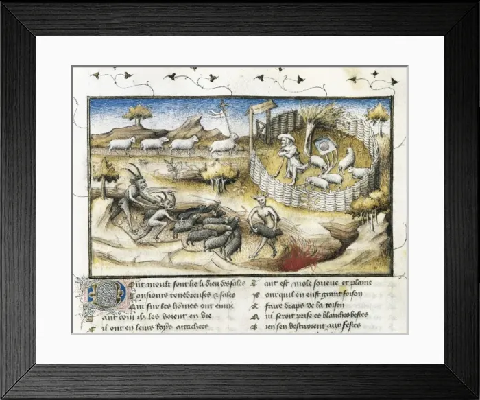 Framed Print : The Romance of the Rose. s. XIV. Representation Framed Print : The Romance of the Rose. s. XIV. Representation