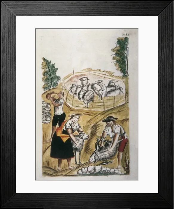 Framed Print : MART͎EZ COMPAѓN Y BUJANDA, Baltasar Jaime (1735-1797) Framed Print : MART͎EZ COMPAѓN Y BUJANDA, Baltasar Jaime (1735-1797)