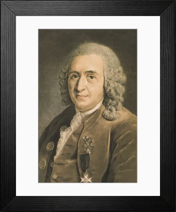 Framed Print : LINNAEUS, Carolus (1707-1778). Swedish naturalist Framed Print : LINNAEUS, Carolus (1707-1778). Swedish naturalist