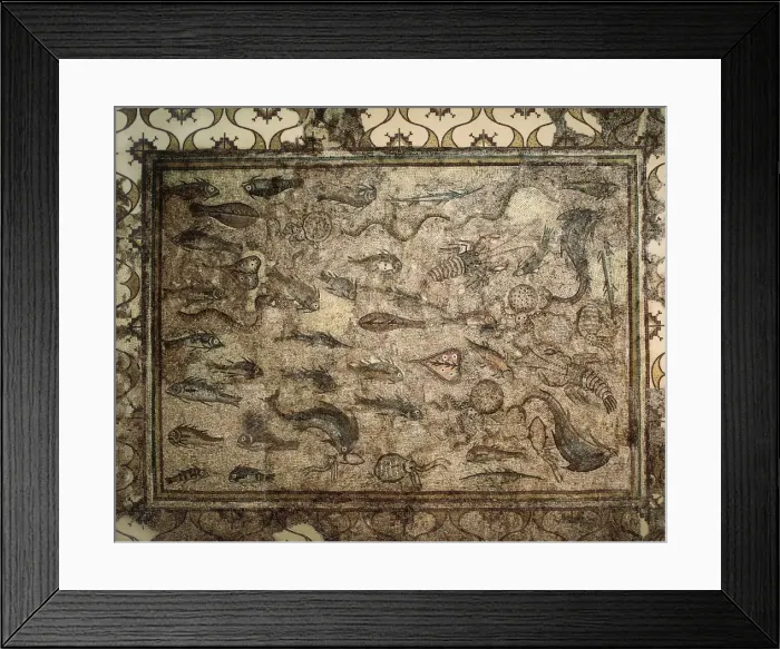 Framed Print : Mosaic of the Fish of La Pineda Framed Print : Mosaic of the Fish of La Pineda