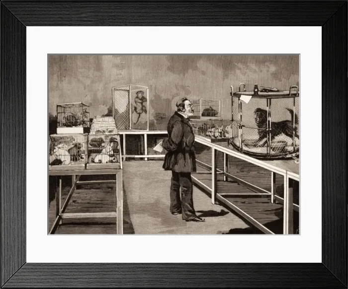 Framed Print : PASTEUR, Louis (1822-1895) Framed Print : PASTEUR, Louis (1822-1895)