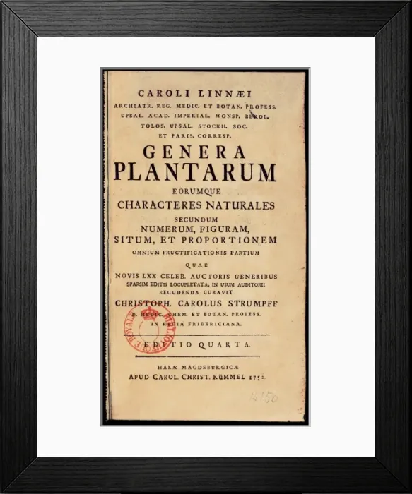 Framed Print : LINNAEUS, Carolus (1707-1778) Framed Print : LINNAEUS, Carolus (1707-1778)