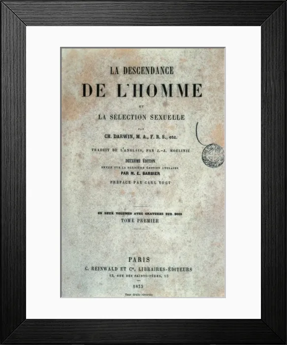 Framed Print : The Descent of Man Framed Print : The Descent of Man
