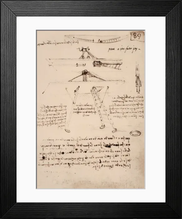Framed Print : LEONARDO DA VINCI (1452-1519) Framed Print : LEONARDO DA VINCI (1452-1519)