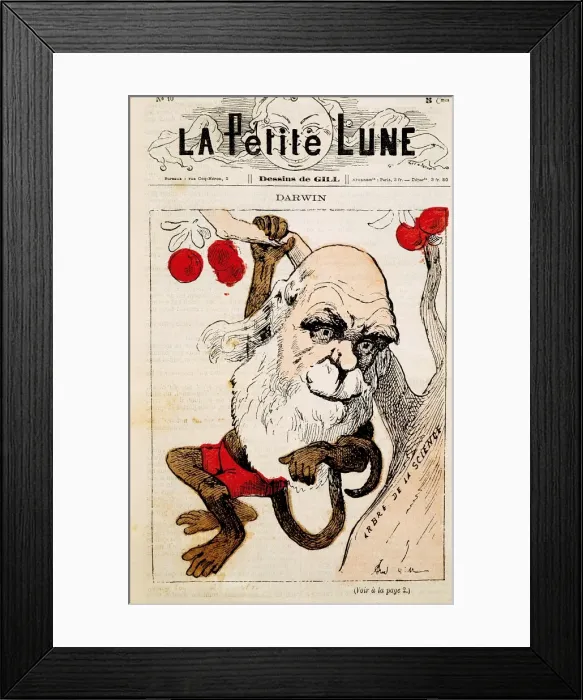 Framed Print : Charles Darwin Framed Print : Charles Darwin