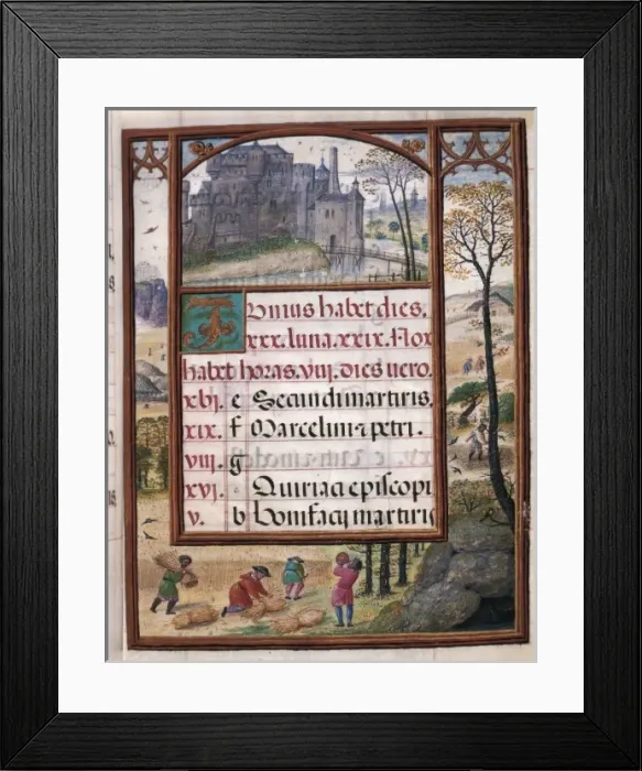Framed Print : Book of Hours of Don Manuel. 1517. June: reaping Framed Print : Book of Hours of Don Manuel. 1517. June: reaping