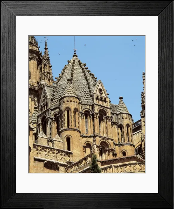 Framed Print : SPAIN. Salamanca. Old Cathedral. Ribbed vault known as Torre del Gallo Framed Print : SPAIN. Salamanca. Old Cathedral. Ribbed vault known as Torre del Gallo