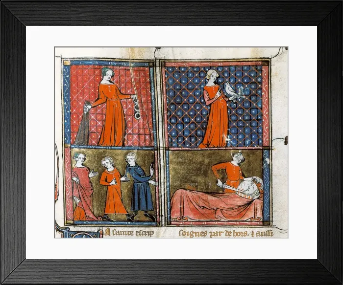 Framed Print : The Book of Kalila Framed Print : The Book of Kalila