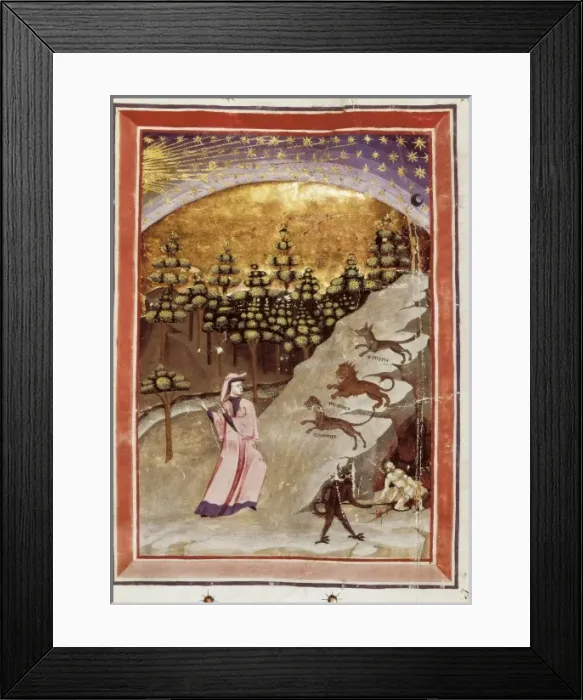 Framed Print : The Divine Comedy Framed Print : The Divine Comedy