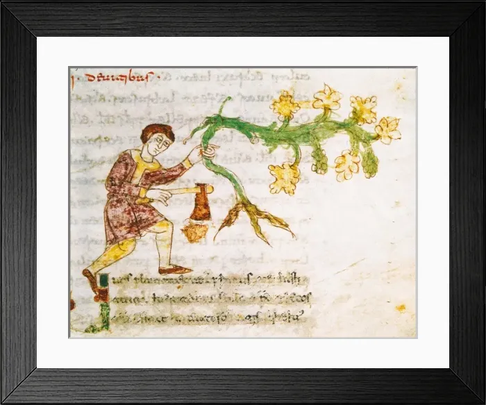 Framed Print : Rabanus, Maurus (C. 780 Framed Print : Rabanus, Maurus (C. 780