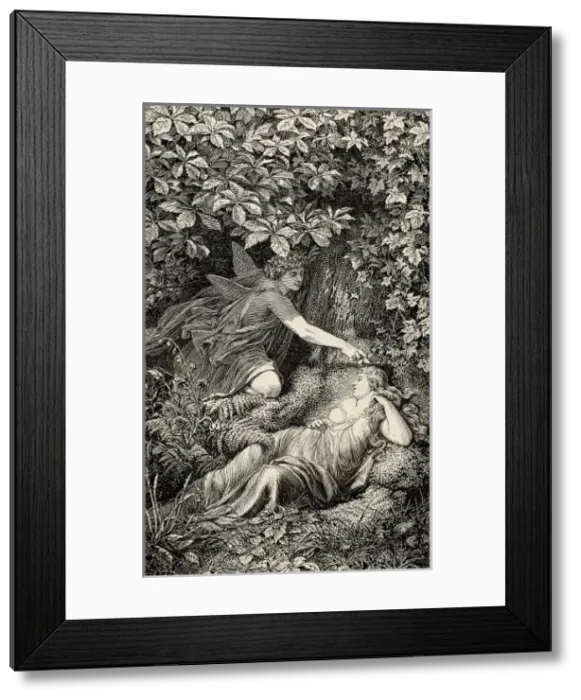 Framed Print : SHAKESPEARE, William (1564-1616) Framed Print : SHAKESPEARE, William (1564-1616)