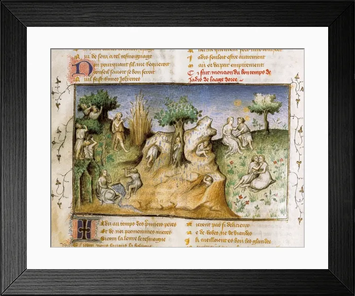 Framed Print : The Romance of the Rose Framed Print : The Romance of the Rose