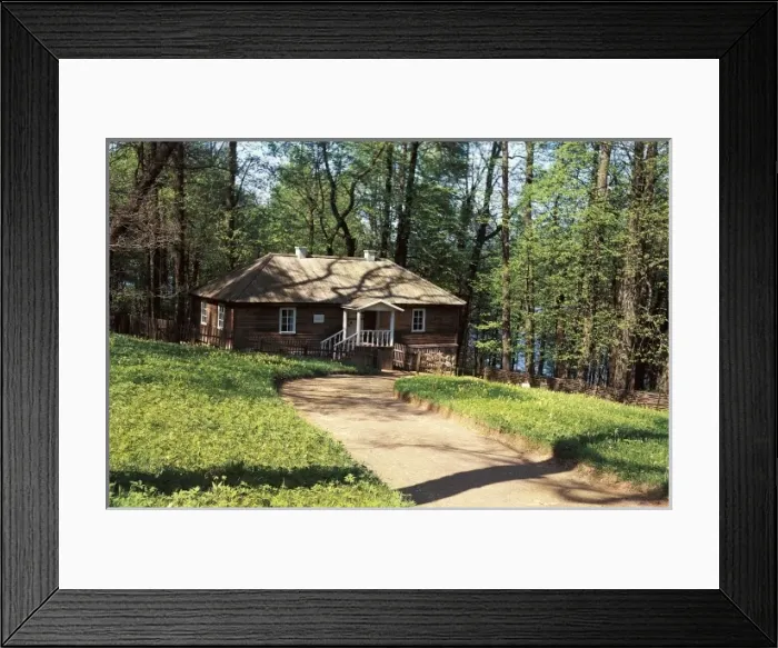 Framed Print : PUSHKIN, Aleksandr Sergeyevich (1799-1837) Framed Print : PUSHKIN, Aleksandr Sergeyevich (1799-1837)