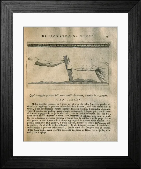 Framed Print : LEONARDO DA VINCI (1452-1519) Framed Print : LEONARDO DA VINCI (1452-1519)