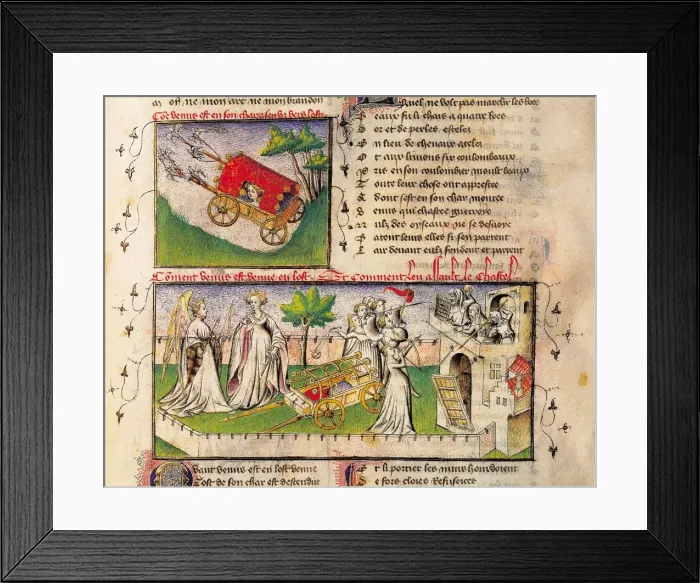 Framed Print : The Romance of the Rose Framed Print : The Romance of the Rose