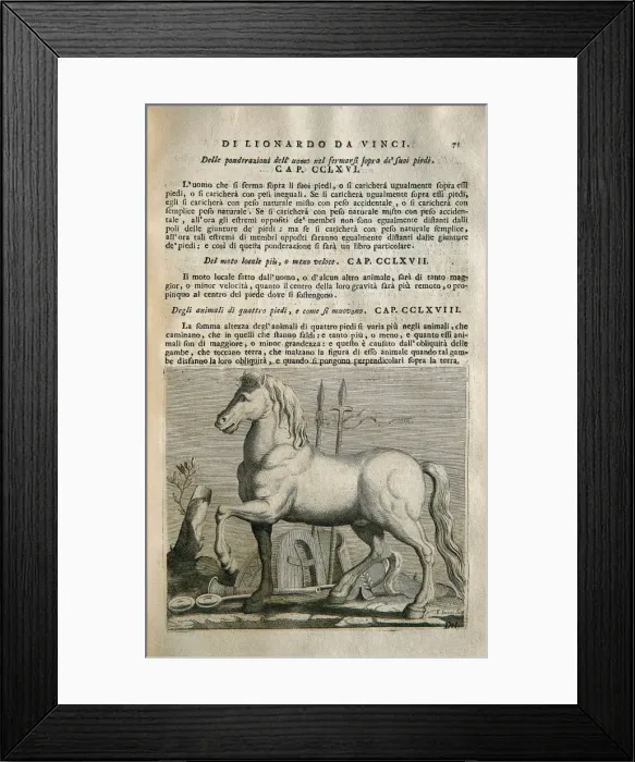 Framed Print : LEONARDO DA VINCI (1452-1519) Framed Print : LEONARDO DA VINCI (1452-1519)