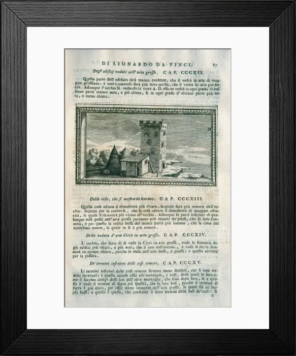 Framed Print : LEONARDO DA VINCI (1452-1519) Framed Print : LEONARDO DA VINCI (1452-1519)