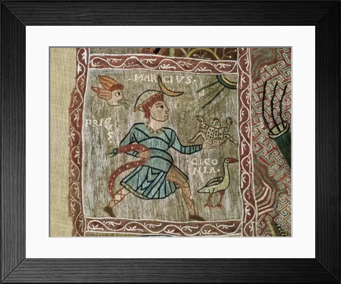 Framed Print : Tapestry of Creation Framed Print : Tapestry of Creation