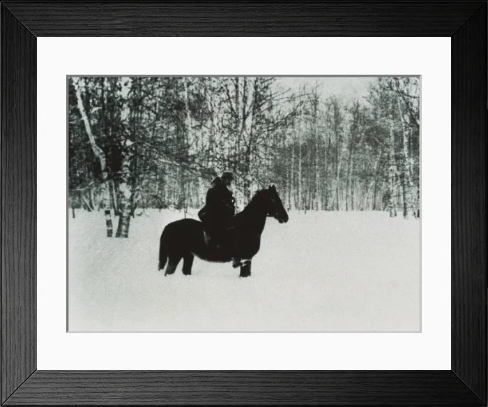 Framed Print : TOLSTOY, Lev Nikolayevich, Leo (1828-1910) Framed Print : TOLSTOY, Lev Nikolayevich, Leo (1828-1910)