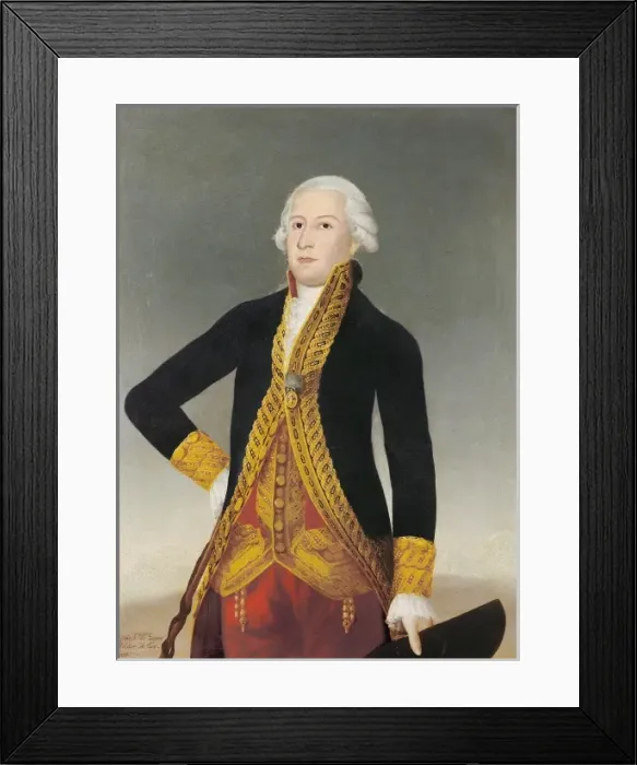 Framed Print : Jovellanos with the ley agraria (Report on the Agrarian Law) Framed Print : Jovellanos with the ley agraria (Report on the Agrarian Law)