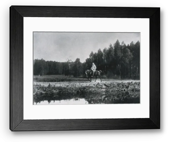 Framed Print : TOLSTOY, Lev Nikolayevich, Leo (1828-1910) Framed Print : TOLSTOY, Lev Nikolayevich, Leo (1828-1910)