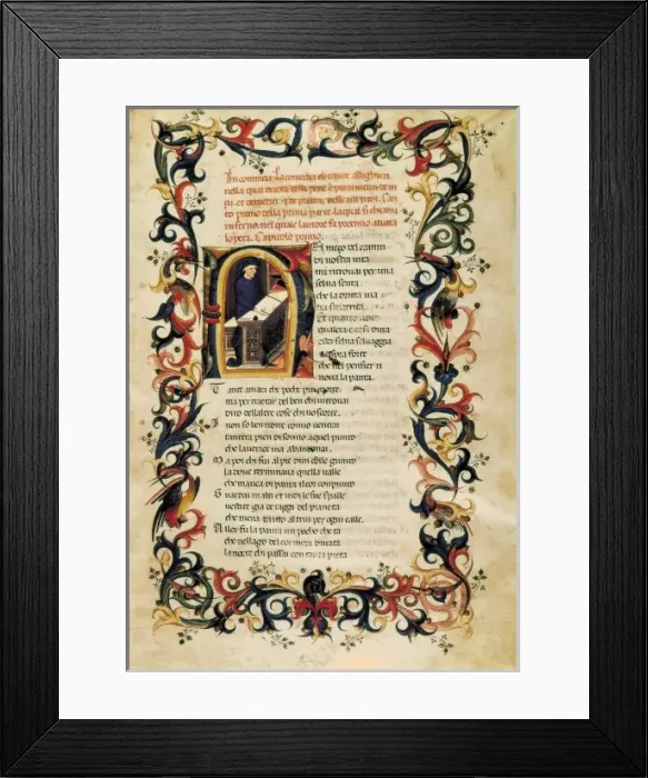 Framed Print : The Divine Comedy Framed Print : The Divine Comedy