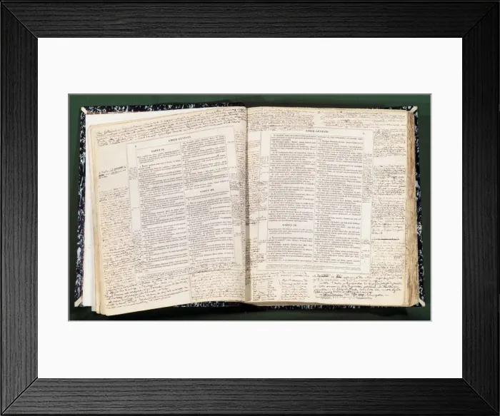 Framed Print : Proudhon, Pierre-Joseph (1809-1865) Framed Print : Proudhon, Pierre-Joseph (1809-1865)