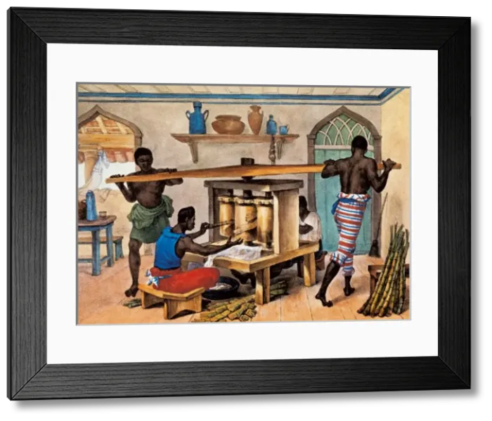 Framed Print : Brazil (19th c Framed Print : Brazil (19th c