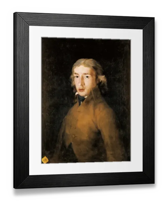 Framed Print : Leandro Fern ndez de MoratЮ