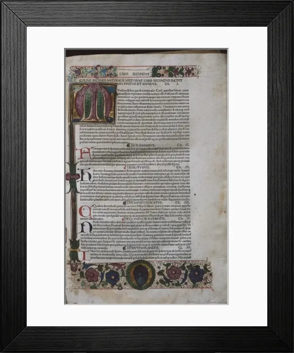 Framed Print : Pliny The Elder (23-79) Framed Print : Pliny The Elder (23-79)